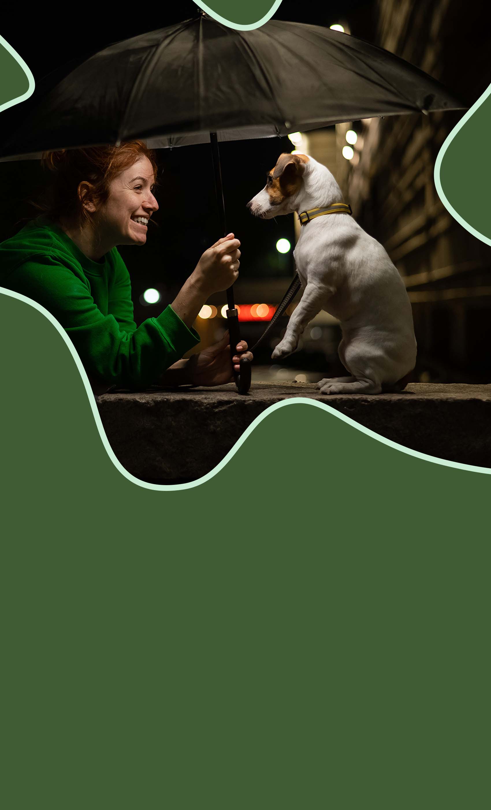 Woman holding umbrella with her dog during night time dog walking, promoting visibility and safety for evening walks.