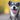 Decoding Your Dog's Body Language