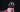 Adorable small dog wearing a pink plaid sweater and rainbow tutu poses on a dark background for a stylish pet photo shoot.