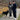 Couple chatting while using hands-free dog leash to walk black dog in a scenic autumn park with colorful fallen leaves.