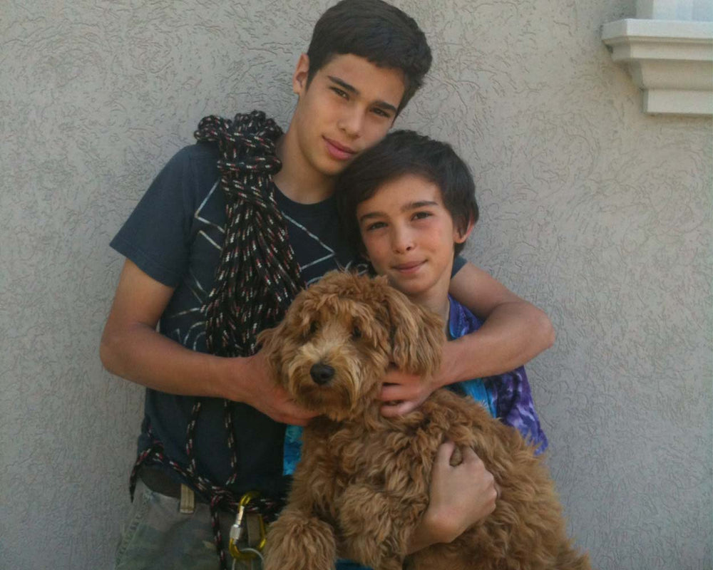 Two brothers smiling and hugging their fluffy golden doodle against an exterior wall, showing a warm family and pet bonding moment.