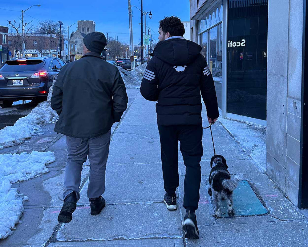 Two people stroll on a snowy city sidewalk at dusk with their black and white dog on a leash, enjoying a peaceful winter evening walk.